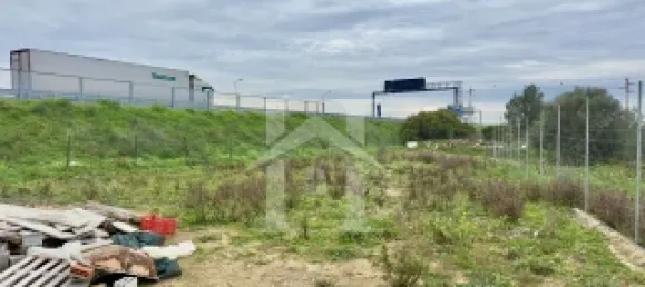 1240m² Land in Cascais, Portugal No. 124398 6