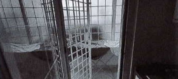 3-Zimmer Haus in Anzio, Italy, Nr. 93208 7