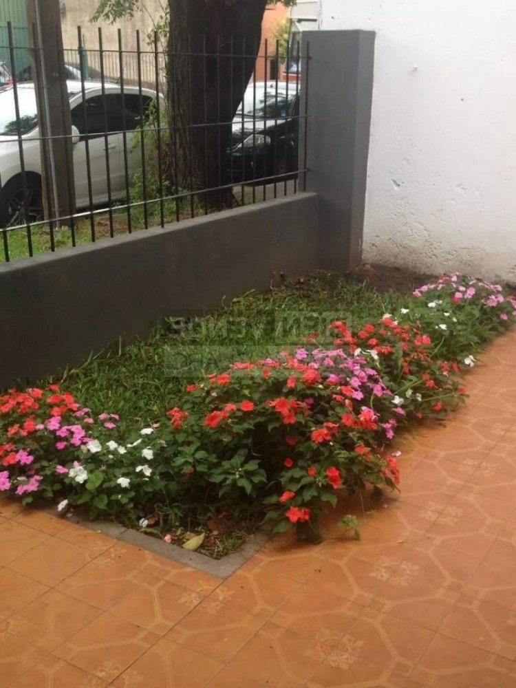 Casa T3 em San Isidro, Argentina N.º 17676