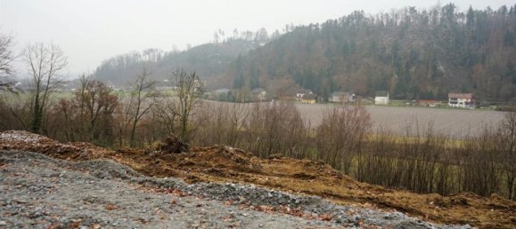 Земельный участок в Вальдинг, Австрия № 47829 3