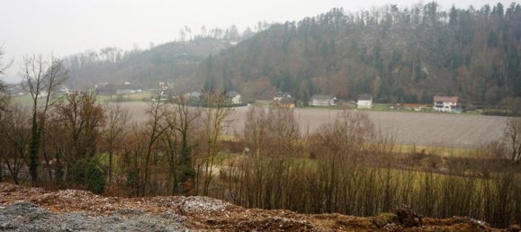 Земельный участок в Вальдинг, Австрия № 47829 2