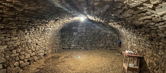  Castillos de 1 dormitorio en Bessines-sur-Gartempe, France No. 98330 31