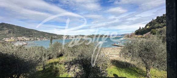 10 rooms Villa in Portovenere, Italy No. 115817 19