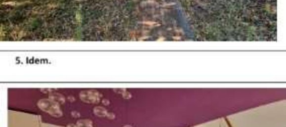 9 rooms Apartment in Formello, Italy No. 190609 5