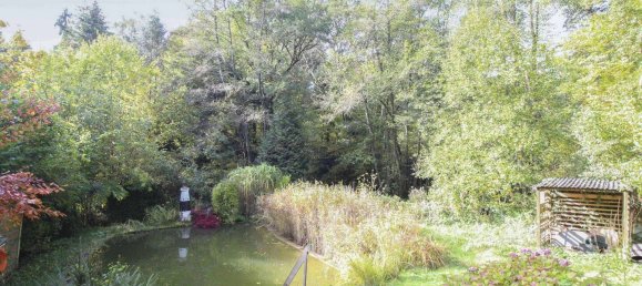 1 bedroom House in Bad Kreuznach, Germany No. 332025 11