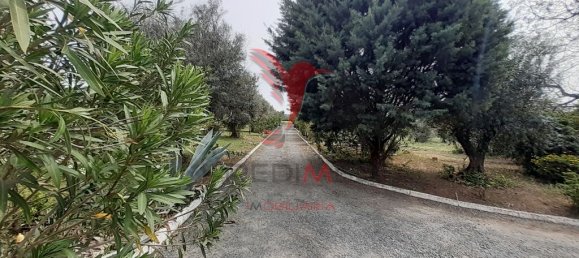 Casa de 3 dormitorios en Alvito, Portugal No. 84072 10