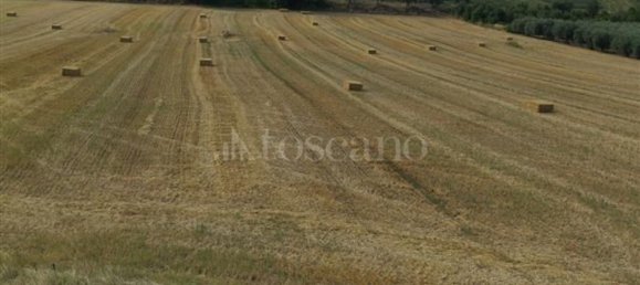 Дом с 6 комнатами в Лорето Апрутино, Италия № 280483 11