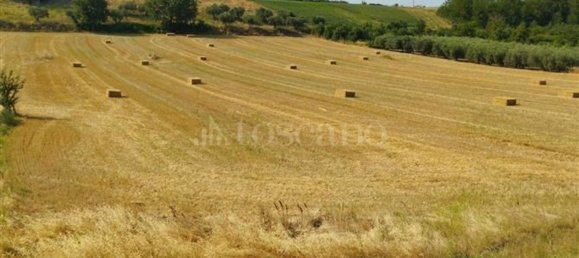 Дом с 6 комнатами в Лорето Апрутино, Италия № 280483 12