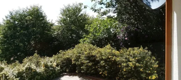 4 غرف نوم تاون هاوس في Emmendingen, Germany رقم 70780 2