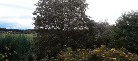 4 غرف نوم تاون هاوس في Emmendingen, Germany رقم 70780 4