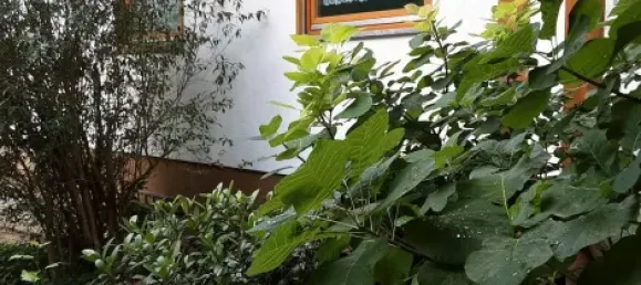 4 غرف نوم تاون هاوس في Emmendingen, Germany رقم 70780 6