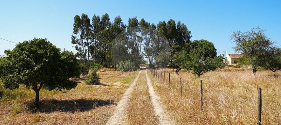 4 bedrooms House in Grandola, Portugal No. 49447 22
