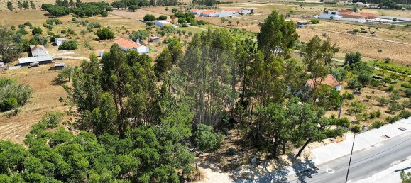 4 bedrooms House in Grandola, Portugal No. 49447 30