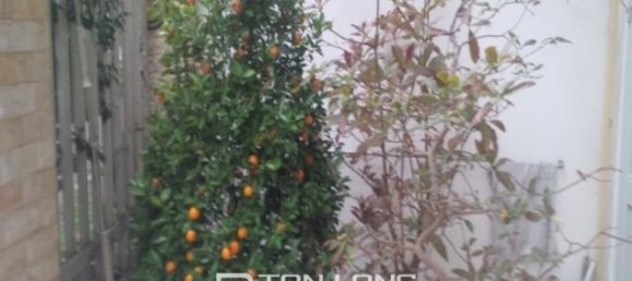 250m² House in Ha Dong, Vietnam No. 215 2