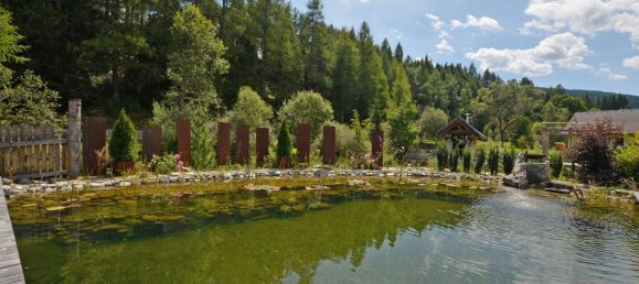 Casa de 4 dormitorios en Mariapfarr, Austria No. 181001 6