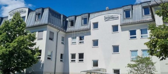 Büro in Dresden, Germany 350m², Nr. 18040 3