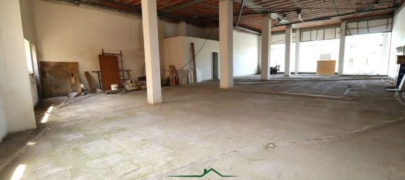 239m² Commercial property in Sao Joao da Madeira, Portugal No. 96699 6