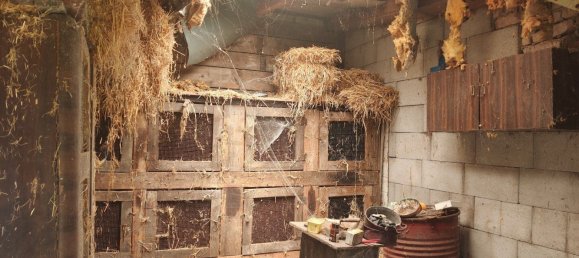 187m² Land in Moosbrunn, Austria No. 131627 41