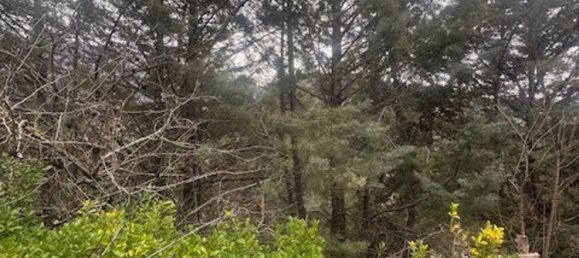 9-Zimmer Villa in Carsoli, Italy, Nr. 33756 2