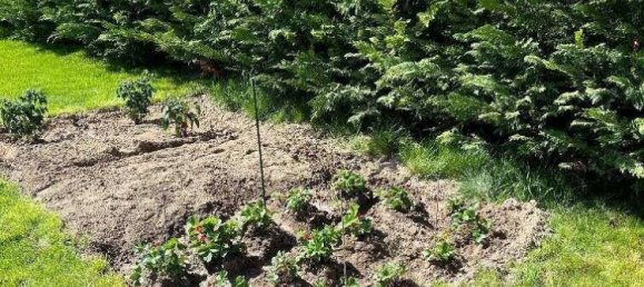 Villa de 5 divisões em Kreuttal, Austria N.º 234791 22