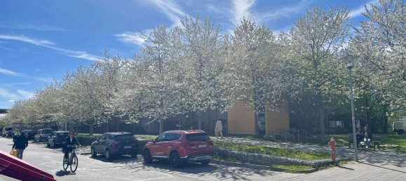 Дуплекс с 2 спальнями в Фюрстенфельдбрукк, Германия № 361155 23