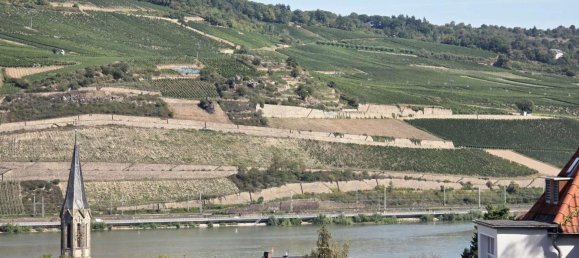 3 غرف نوم شقة في Mainz-Bingen, Germany رقم 364015 10