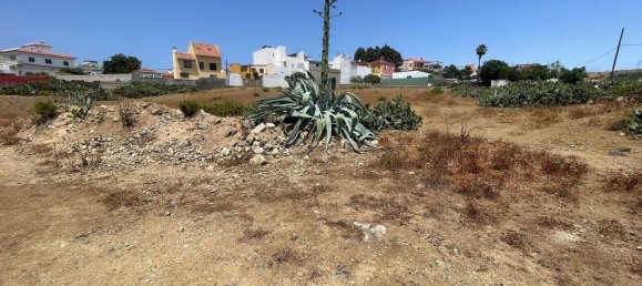 Terreno en Teror, Spain 823 m² No. 57565 4