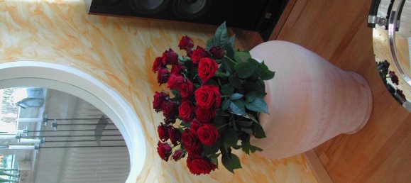 Apartamento T1 em Grevenbroich, Germany N.º 297923 11