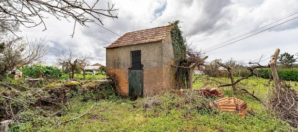 2 bedrooms House in Soure, Portugal No. 45922 5