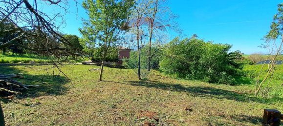 Terrain à Marino, Italy 1624m² No. 311927 7