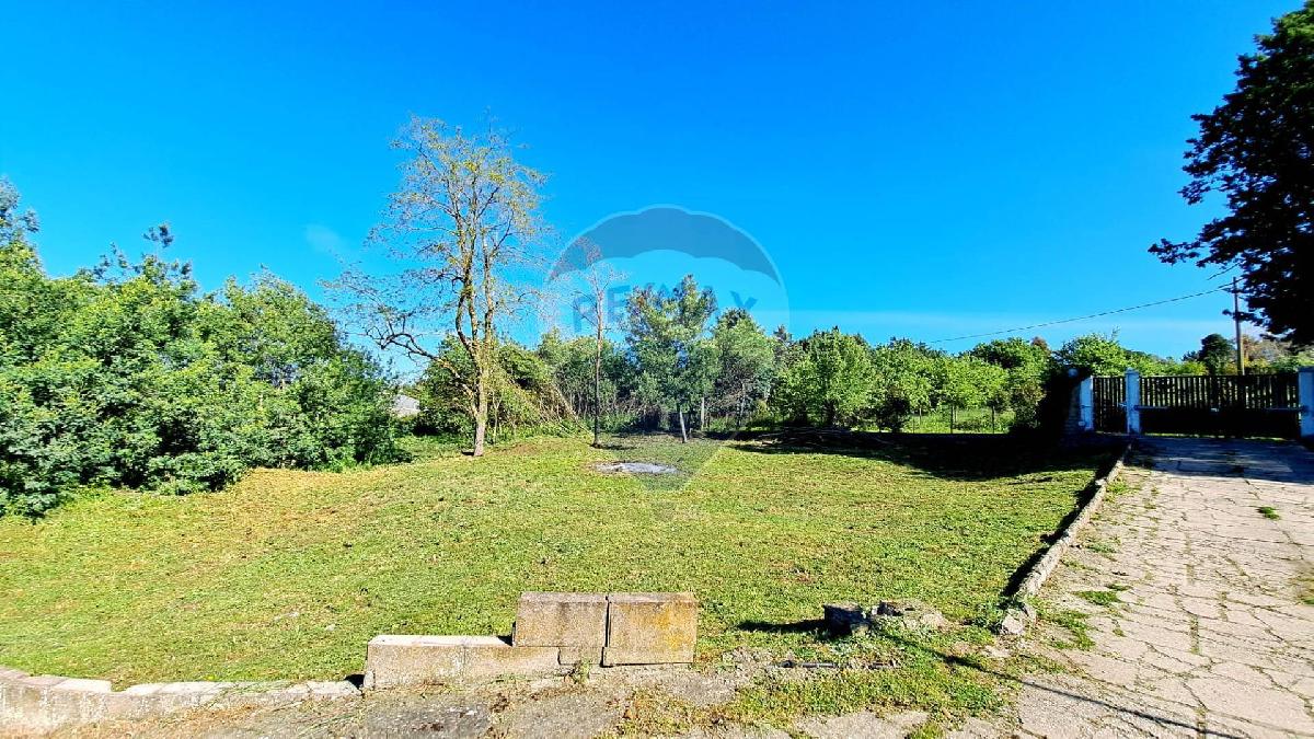 Terrain à Marino, Italy 1624m² No. 311927