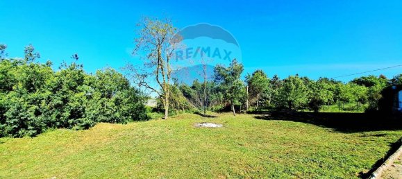 Terrain à Marino, Italy 1624m² No. 311927 4