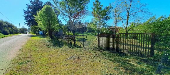 Terrain à Marino, Italy 1624m² No. 311927 5