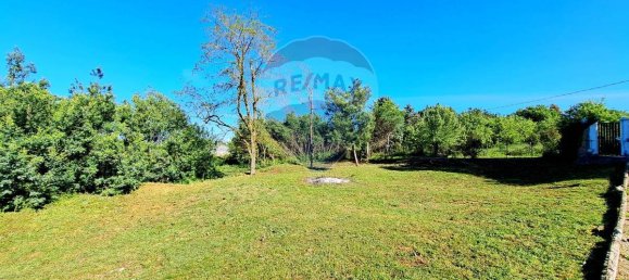 Terrain à Marino, Italy 1624m² No. 311927 3