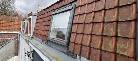 4 bedrooms Villa in Mons-en-Baroeul, France No. 81367 28