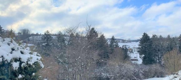 1 غرف نوم شقة في Baden-Wurttemberg, Germany رقم 29888 15