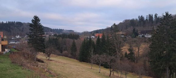 1 غرف نوم شقة في Baden-Wurttemberg, Germany رقم 29888 14