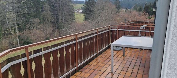 1 غرف نوم شقة في Baden-Wurttemberg, Germany رقم 29888 12