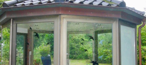 Café / restaurante em Pinneberg, Germany 500 m² N.º 242337 6