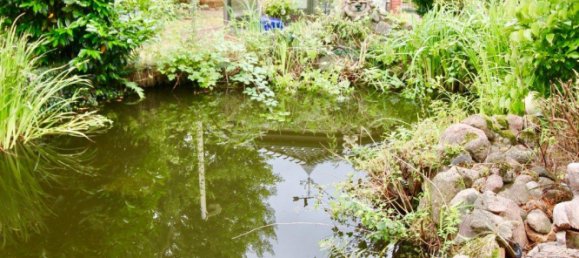 Café / restaurante em Pinneberg, Germany 500 m² N.º 242337 14