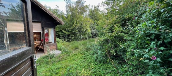 10-Zimmer Haus in Niederhollabrunn, Austria, Nr. 138156 35