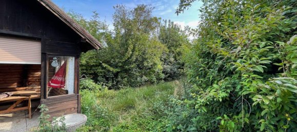 10-Zimmer Haus in Niederhollabrunn, Austria, Nr. 138156 36