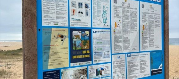 2 Schlafzimmer Haus in Santiago do Cacem, Portugal, Nr. 105884 31