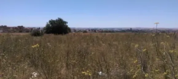  قطعة أرض في Zamora, Spain 5560متر مربع رقم 66580 4