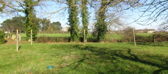 4 bedrooms House in Plumaudan, France No. 16975 7