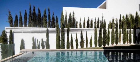 5 bedrooms Villa in Pegeia, Cyprus No. 19728 11