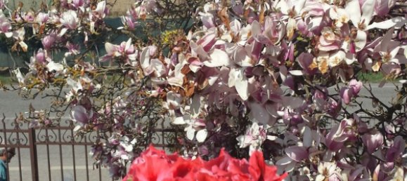 3 rooms House in Alessandria, Italy No. 251249 15