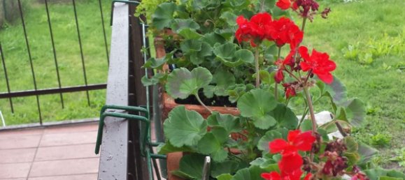 3 rooms House in Alessandria, Italy No. 251249 33