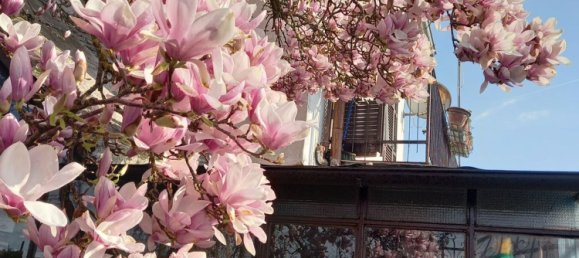 3 rooms House in Alessandria, Italy No. 251249 31