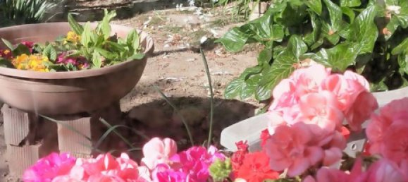 3 rooms House in Alessandria, Italy No. 251249 38